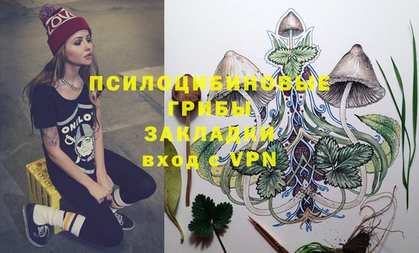 ешки Краснотурьинск