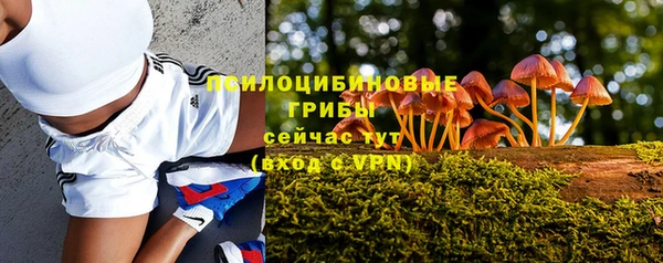 ешки Краснотурьинск