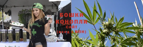крисы Коряжма