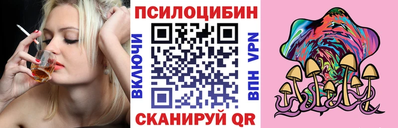 где продают   Владикавказ  Псилоцибиновые грибы GOLDEN TEACHER 