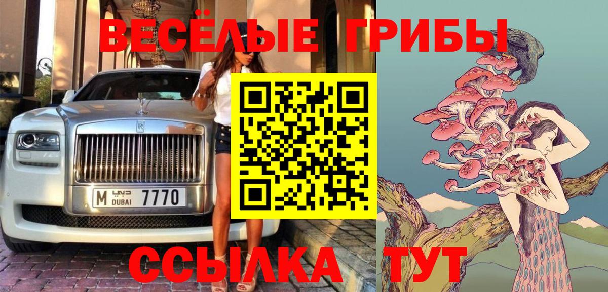 Галлюциногенные грибы ЛСД Владикавказ