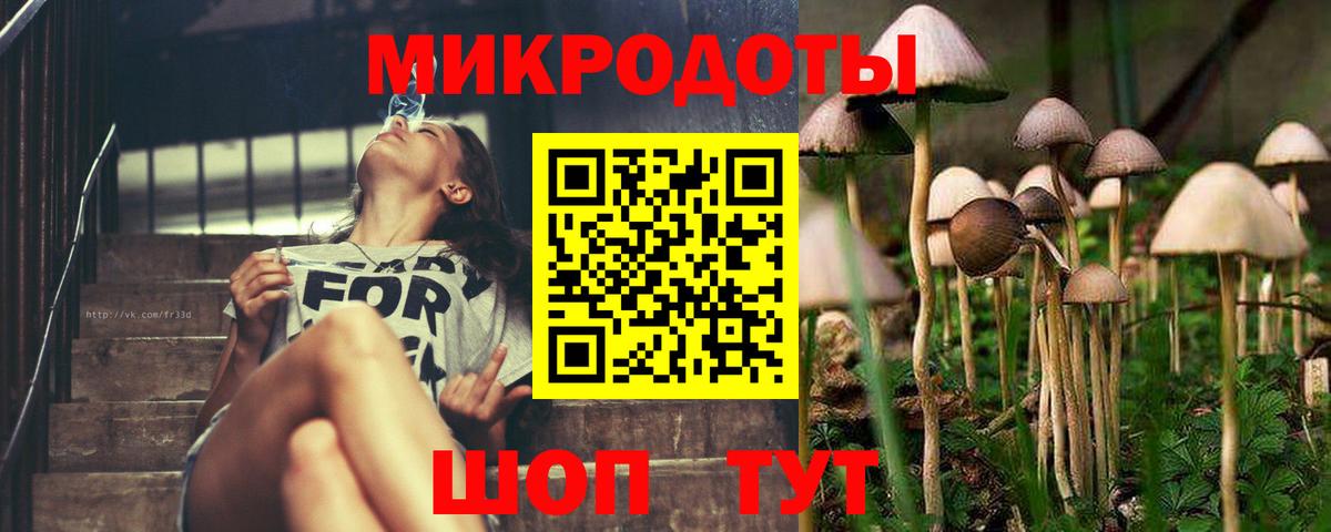 Галлюциногенные грибы прущие грибы  даркнет сайт  Владикавказ 