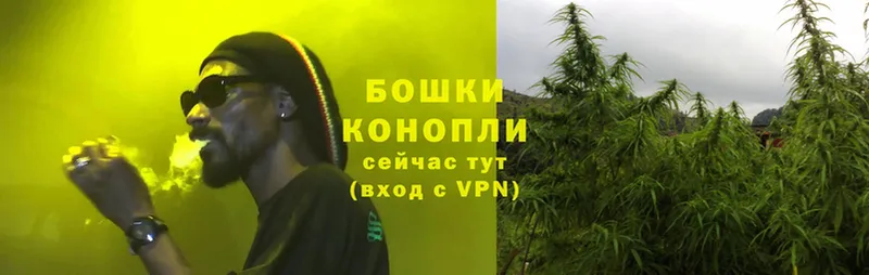 мега вход  Владикавказ  Бошки марихуана THC 21% 